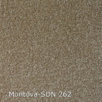 Montova-SDN 262